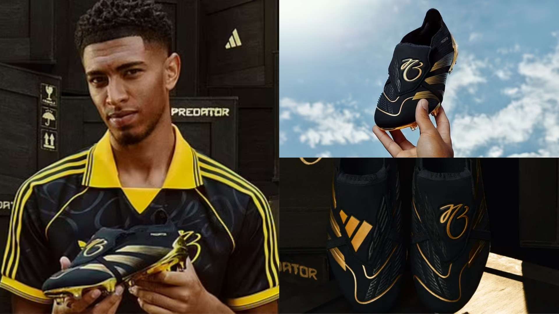 迷深感不解 迷深感不解