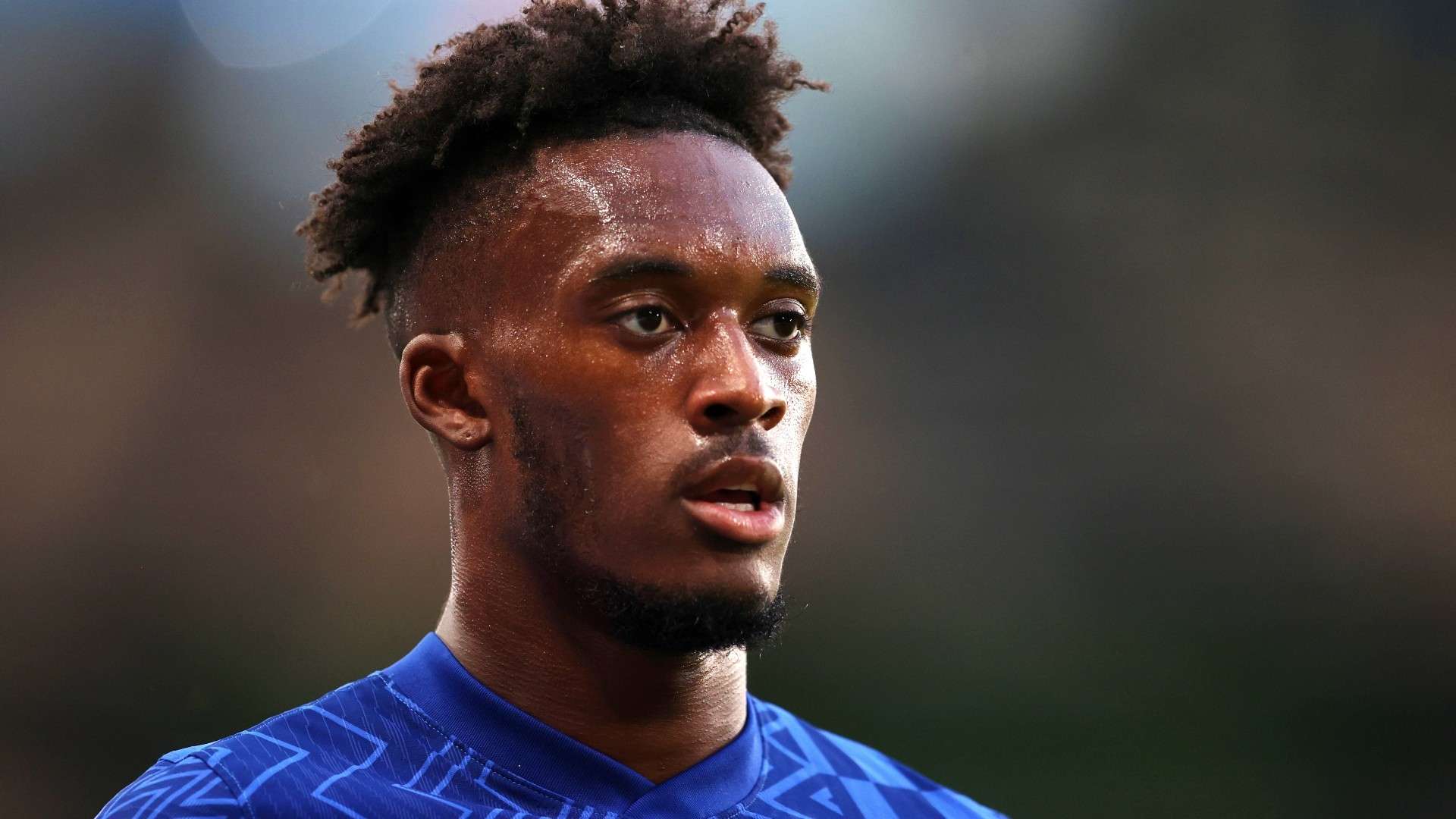 进而在世界 进而在世界